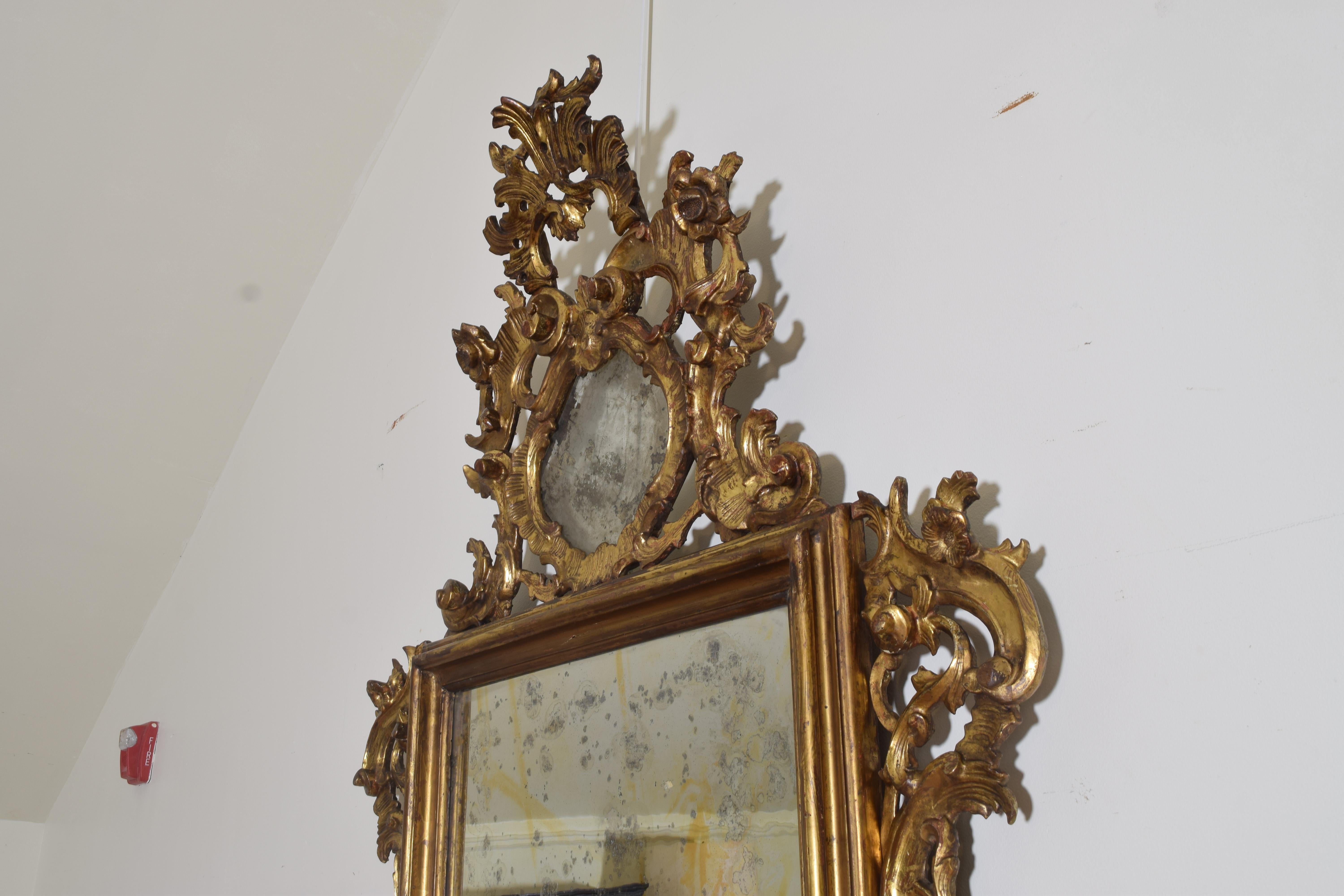Mid-18th Century Italian Louis XIV Period Large Carved Giltwood Mirror, Early 18th Century