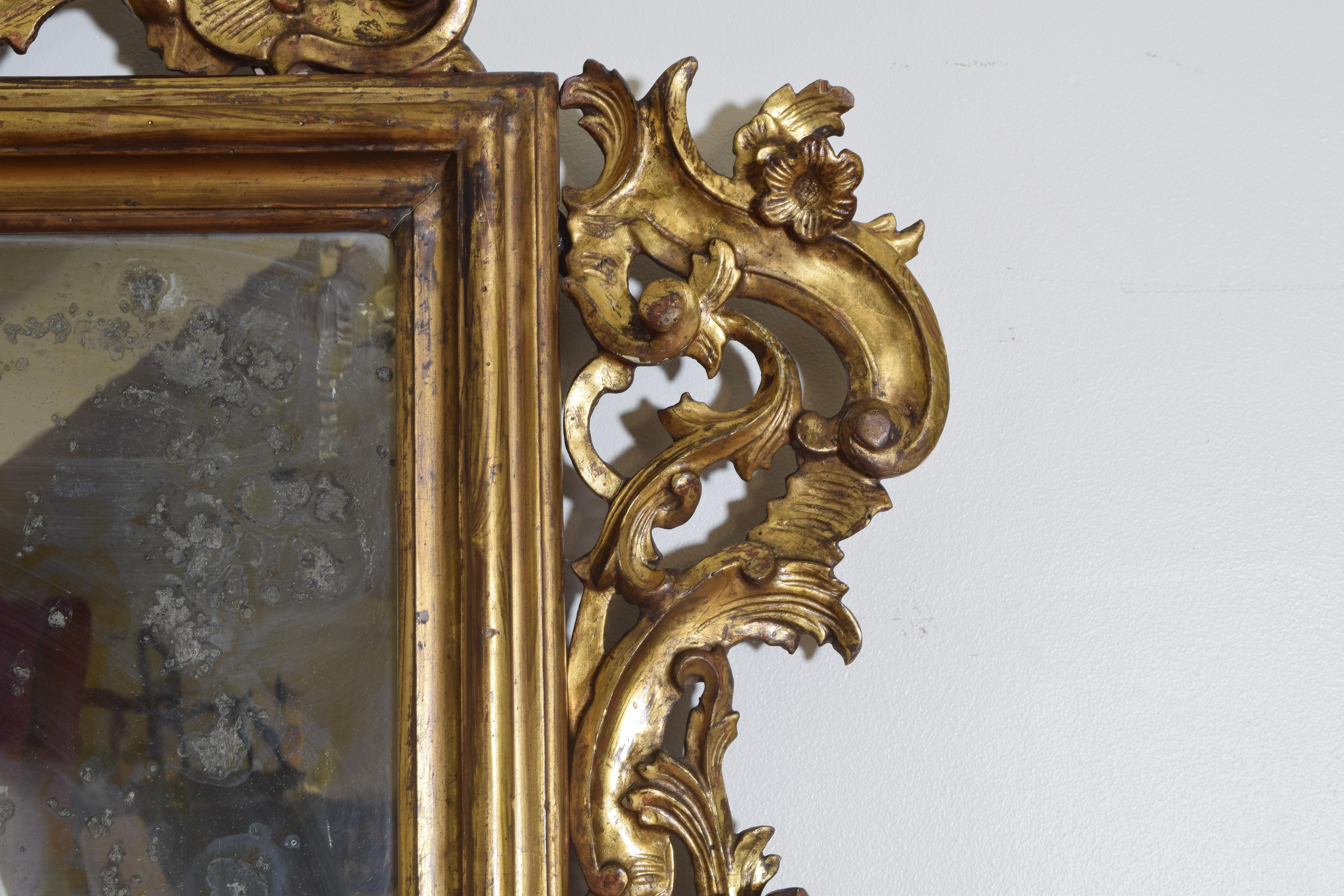 Italian Louis XIV Period Large Carved Giltwood Mirror, Early 18th Century 3