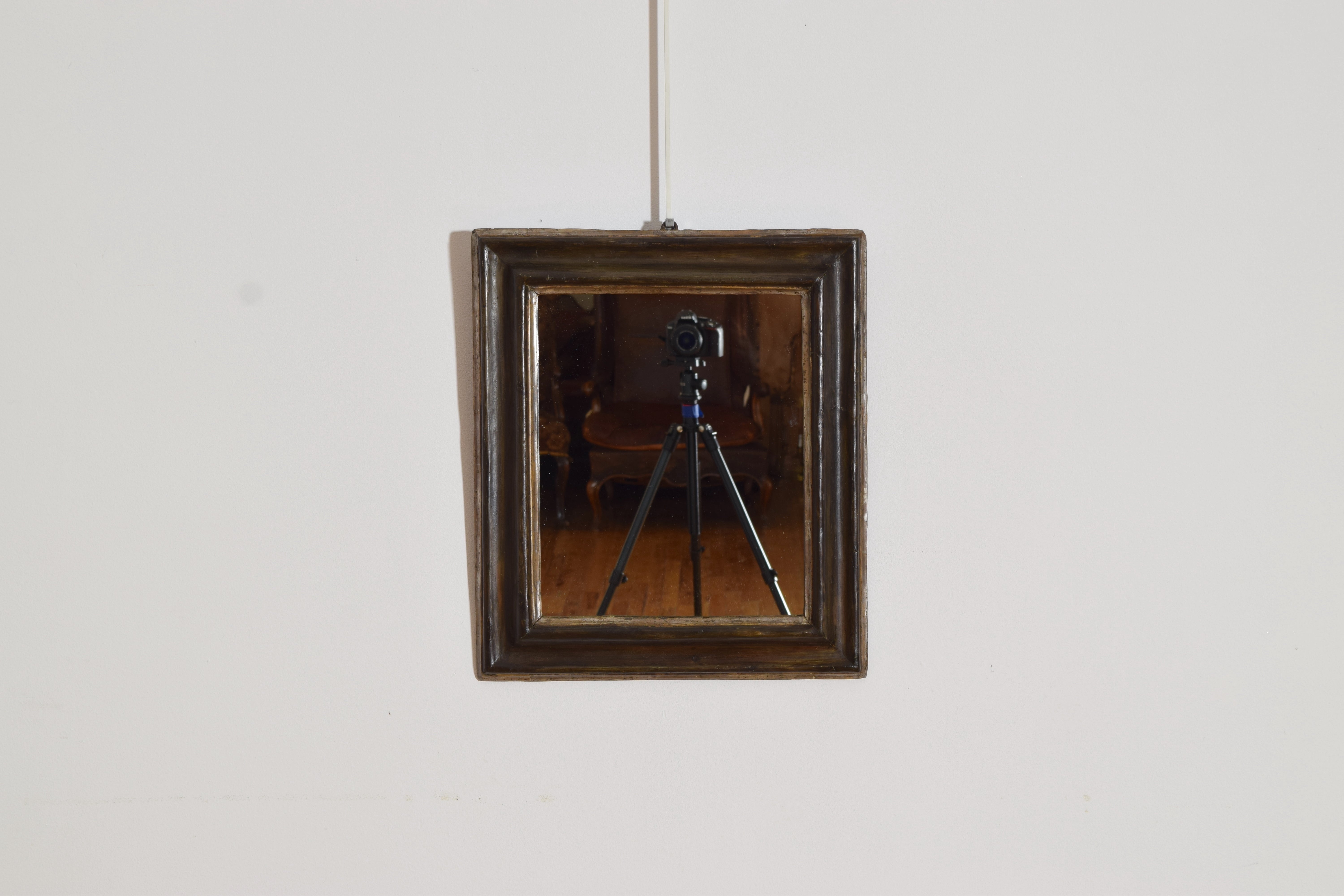 Italian Louis XIV Period Silver Gilt 
Painted Mirror, early 18th century