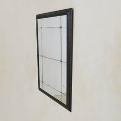 Italian Louis XVI Style Sectioned Mirror with Bronze Rosettes