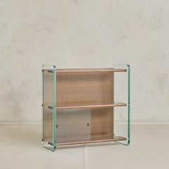 Italian Mahogany Bookcase by Vittorio Parigi & Nani Prina for Rimadesio, 1960s