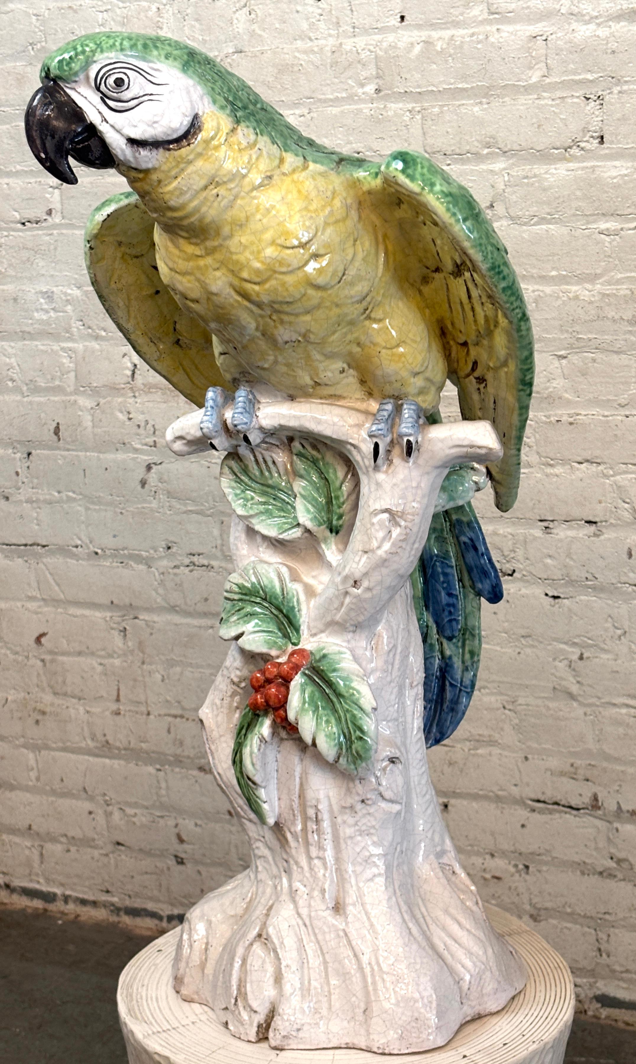 Loro pintado de mayólica italiana Mayólica en venta