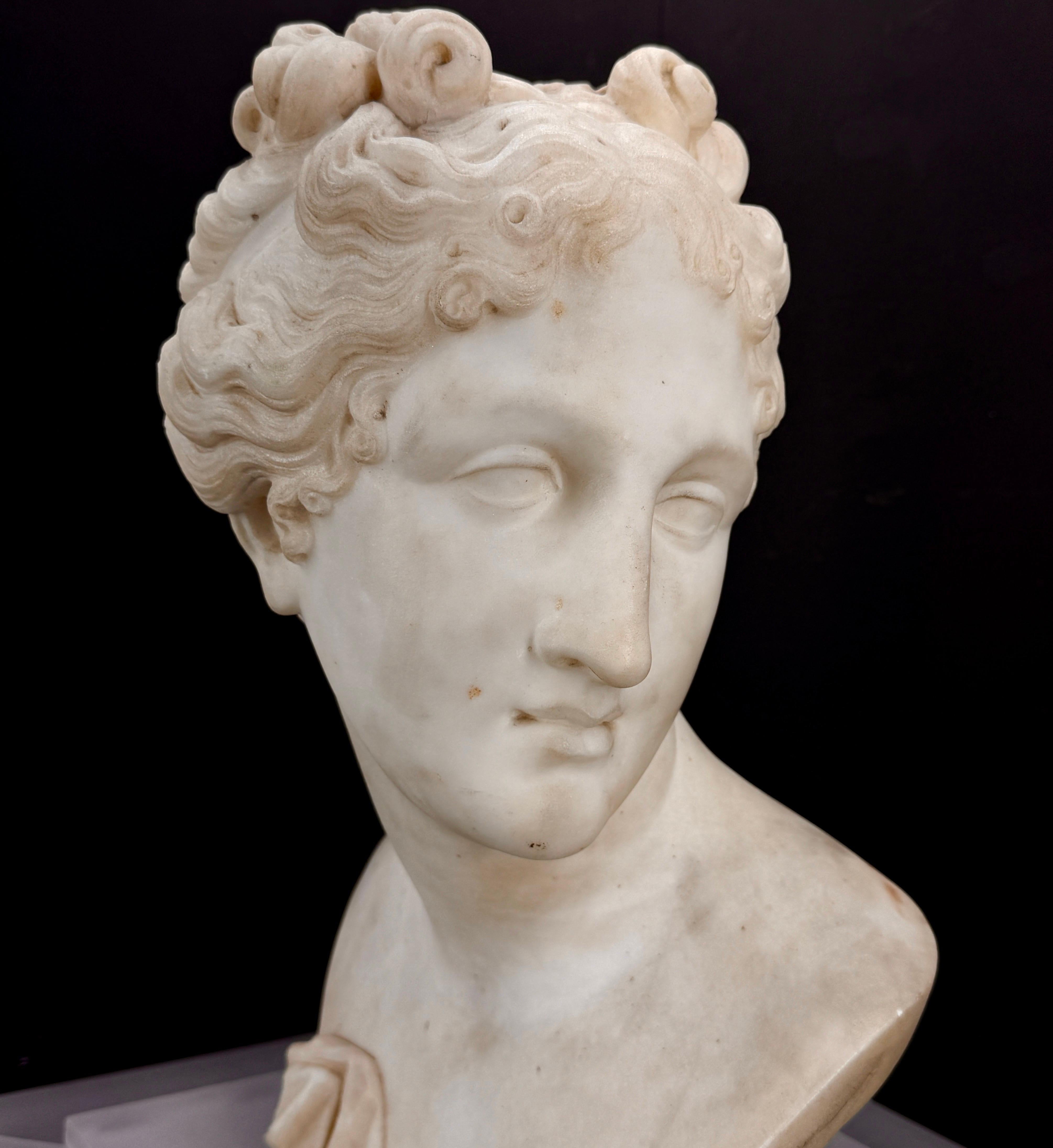 Italienische Marmorbüste der Venus Italica auf mattiertem Lucitsockel im Angebot 6