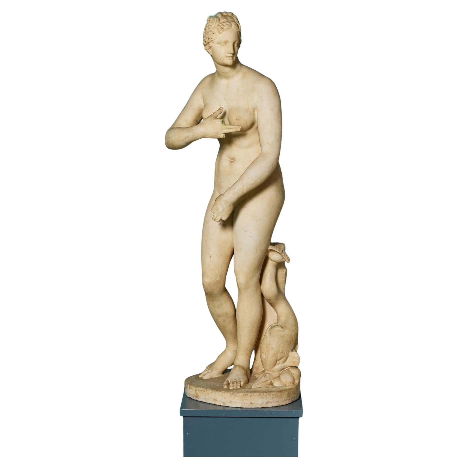 Figura de Venus de Médicis en mármol italiano Grand Tour