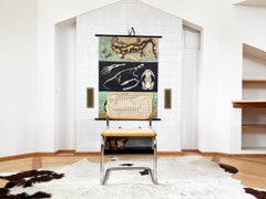 Sedia da accento, da fianco o da scrivania italiana MCM Marcel Breuer, ITALIA -- Una sedia