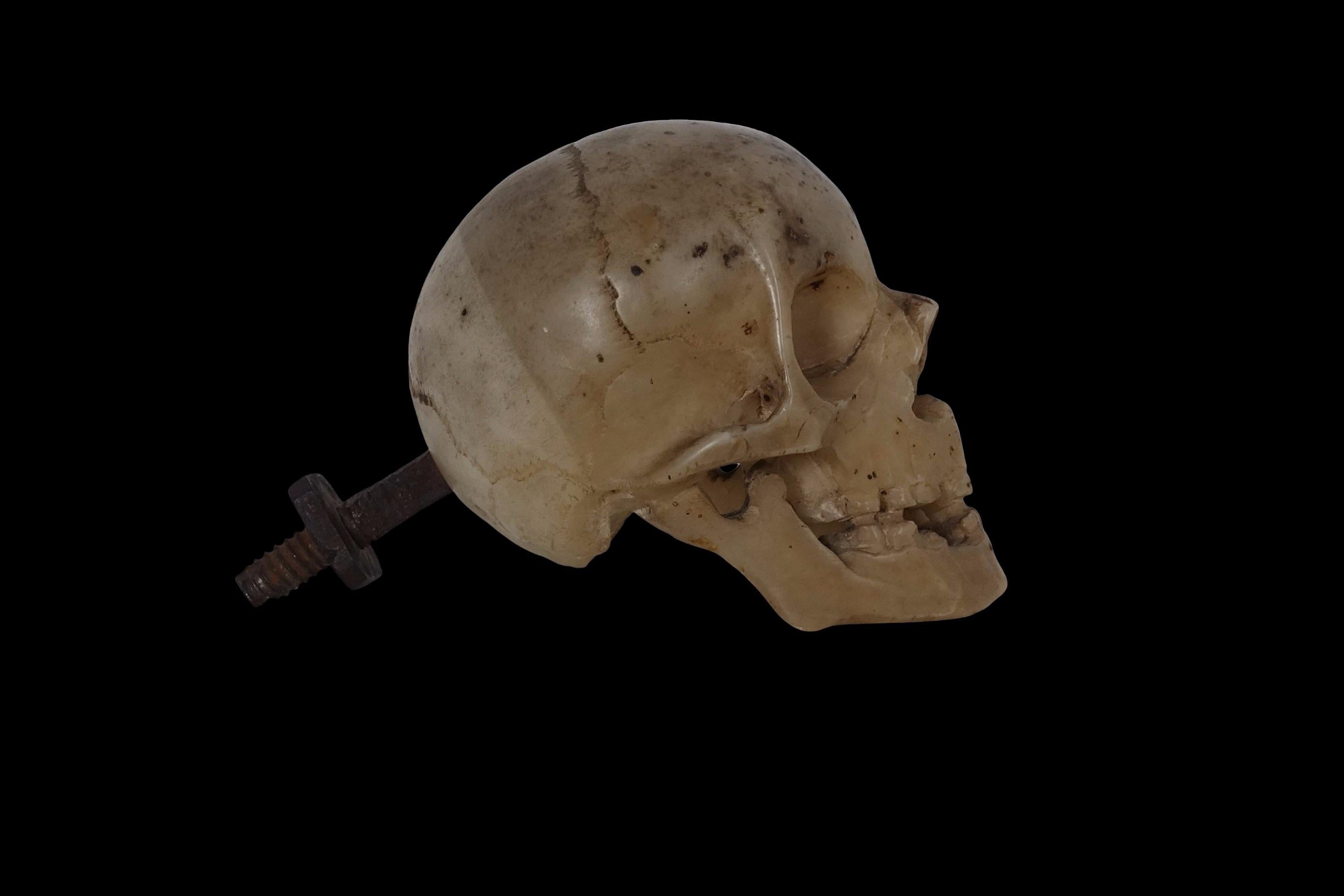 Crâne italien Memento Mori 
Marbre
Nord de l'Italie, XVIIe siècle
H 9 x L 7 x P 14 cm 

Au tournant du XVIe siècle, ils étaient à la mode : des sculptures de crânes de la taille d'une paume, qui représentent le statut, la richesse et le spectre