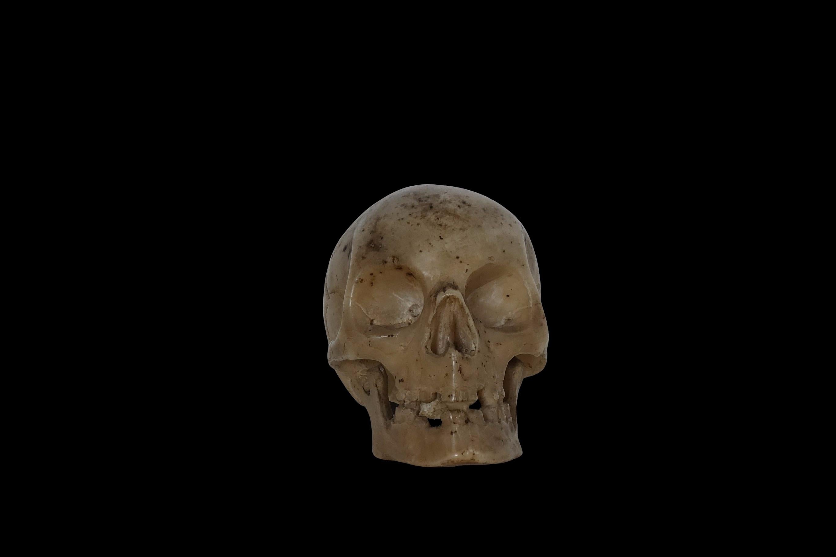 Renaissance Italian Memento Mori skull -  17th century For Sale