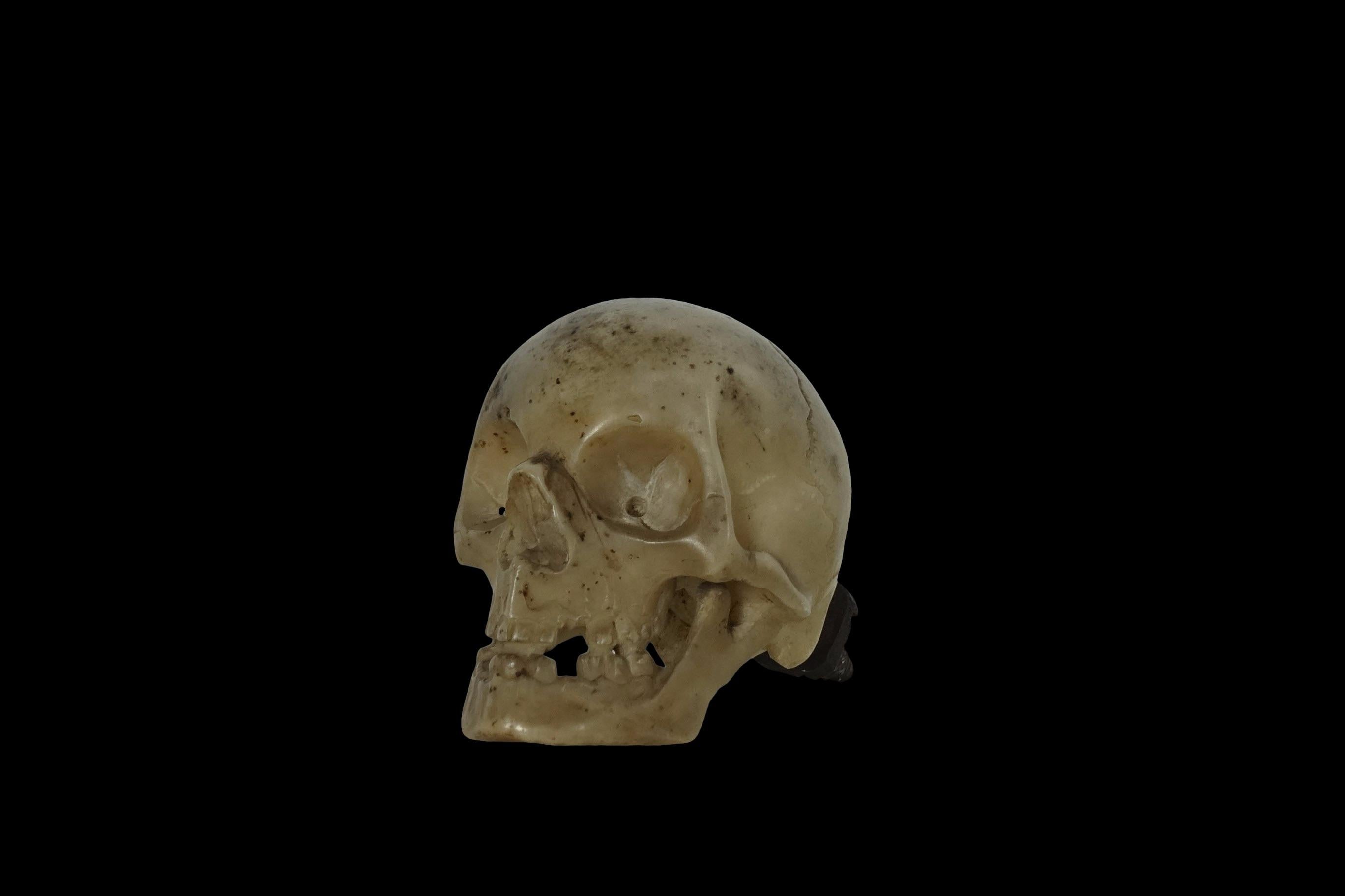 Carved Italian Memento Mori skull -  17th century For Sale
