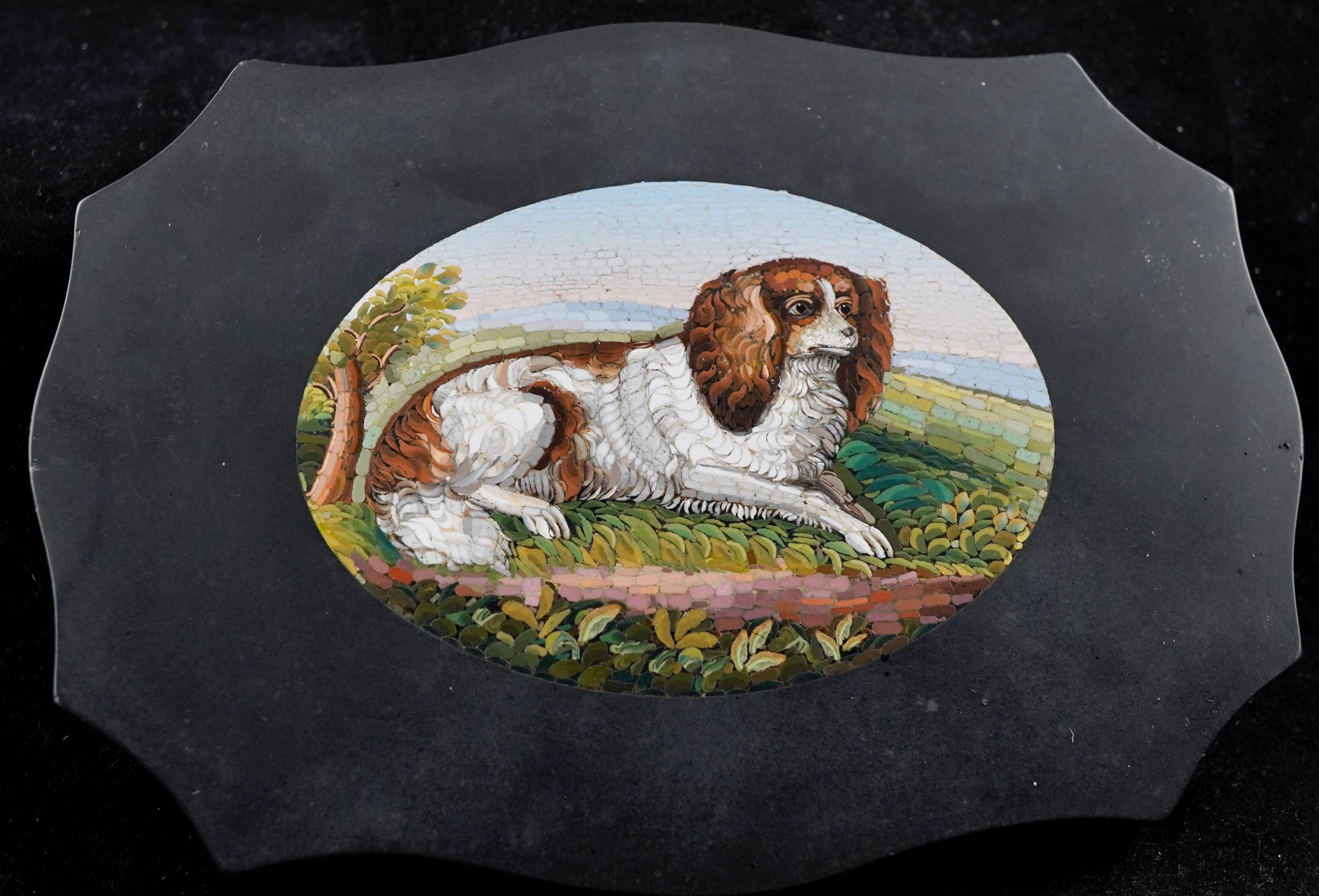 Fermacarte italiano in micromosaico con raffigurazione molto dettagliata di uno spaniel King Charles, fine XIX secolo