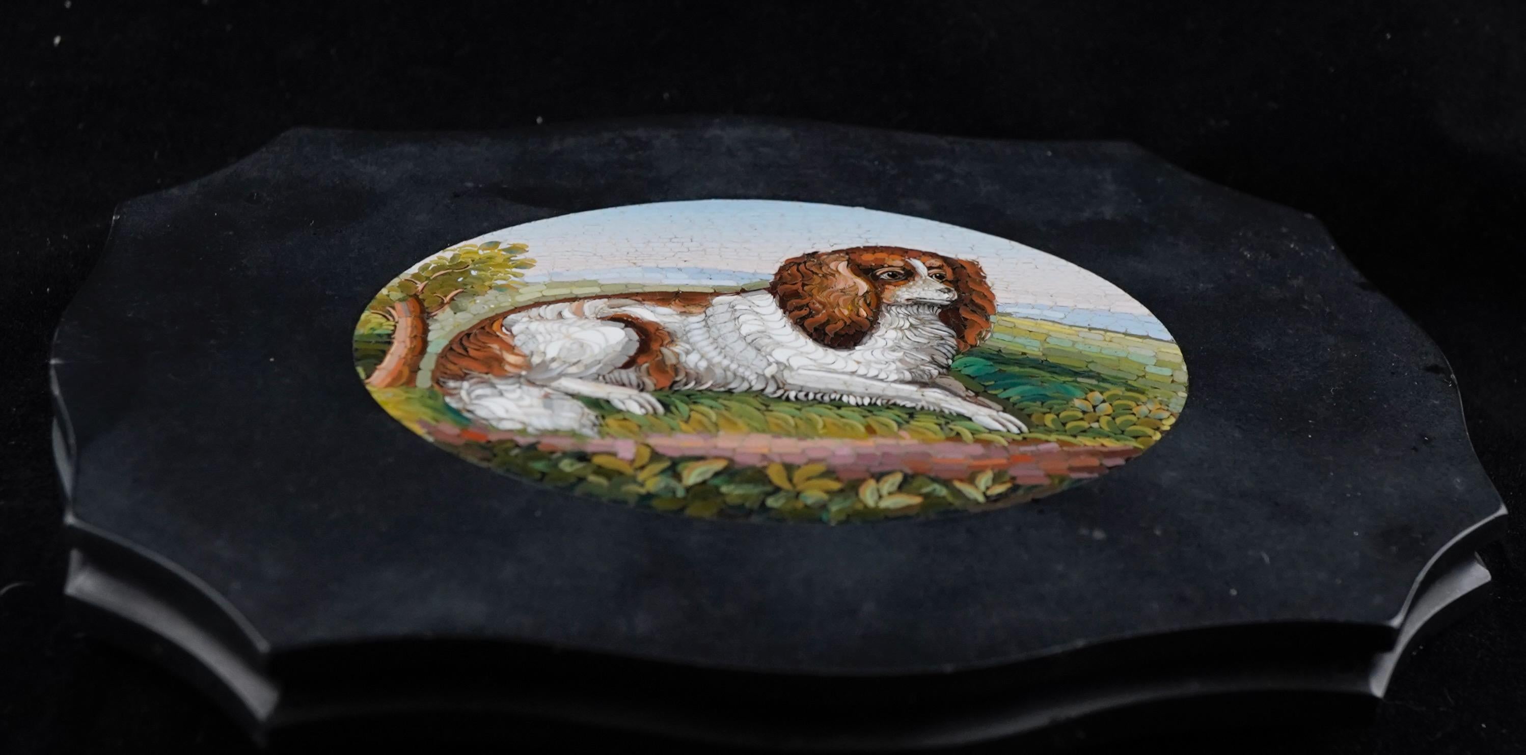 Italiano Fermacarte italiano a micromosaico con Charles Charles Spaniel del XIX secolo in vendita
