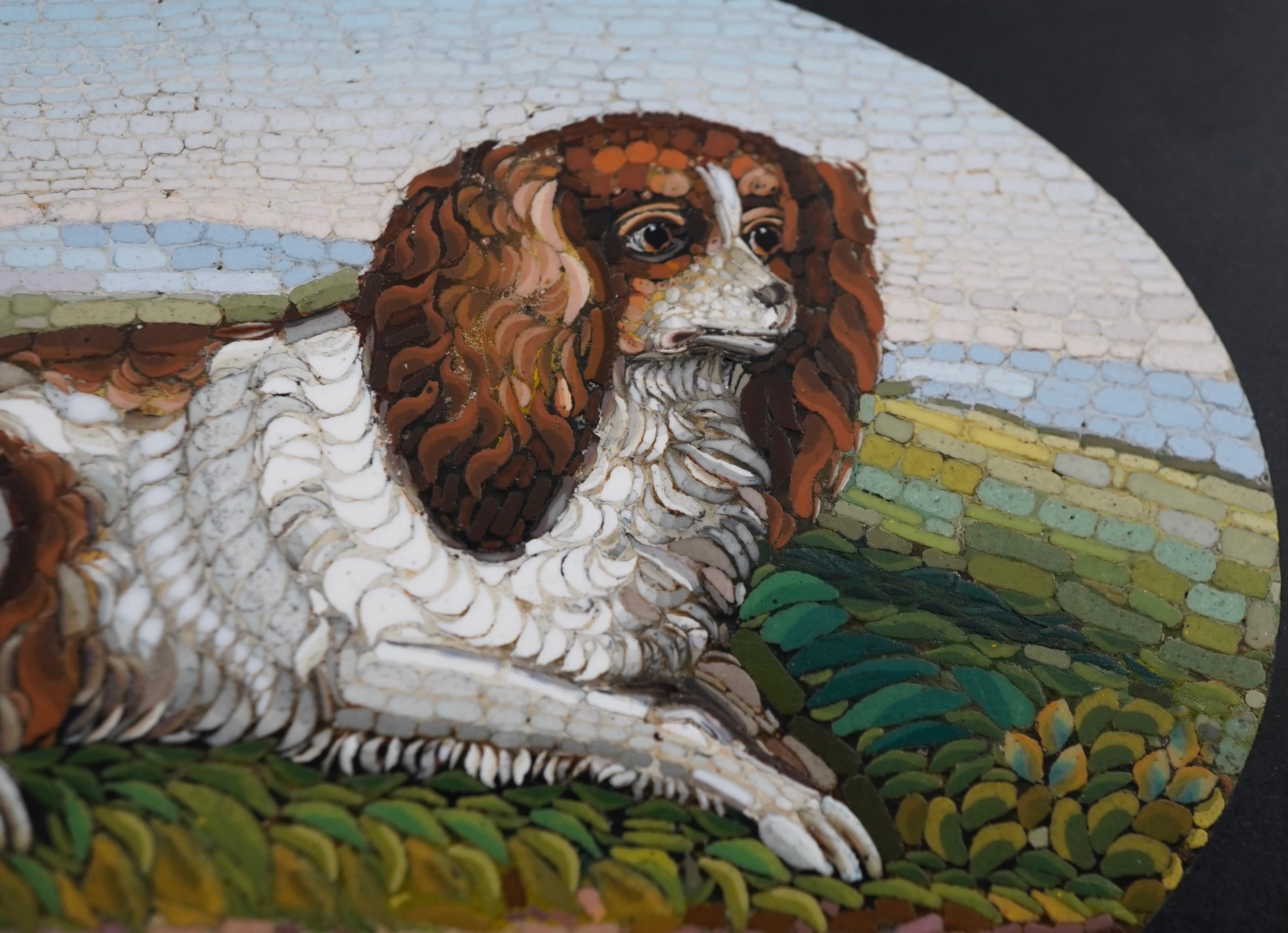 Mosaico Fermacarte italiano a micromosaico con Charles Charles Spaniel del XIX secolo in vendita