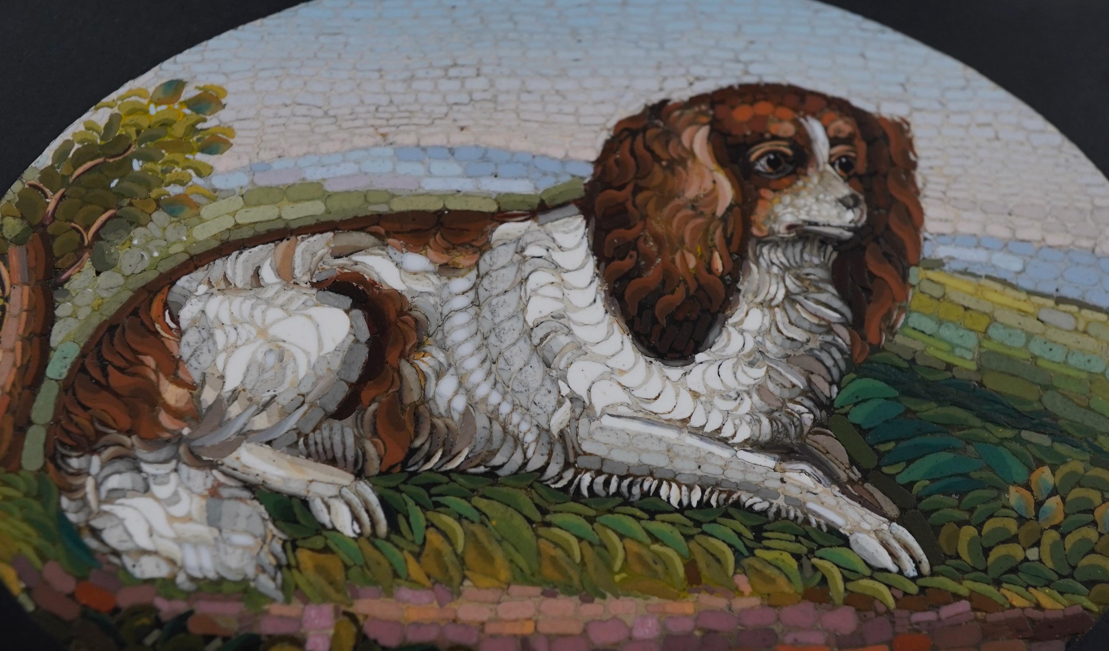Fermacarte italiano a micromosaico con Charles Charles Spaniel del XIX secolo In condizioni ottime in vendita a Sarasota, FL