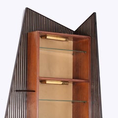Italian Mid-20th Century Bar & Shelf in Glass and Fruitwood by Oswaldo Borsani