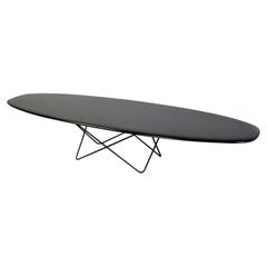 Italian Mid-Century Black Metal and Wood Elliptical Coffee Table by Amegab 1960s