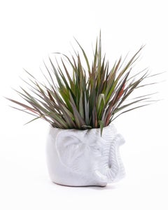 Italian Midcentury Ceramic White Elephant Planter