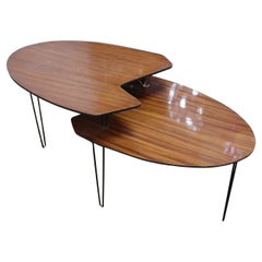 Mesa de centro italiana de mediados de siglo en caoba y metal de ISA Bergamo, años 60