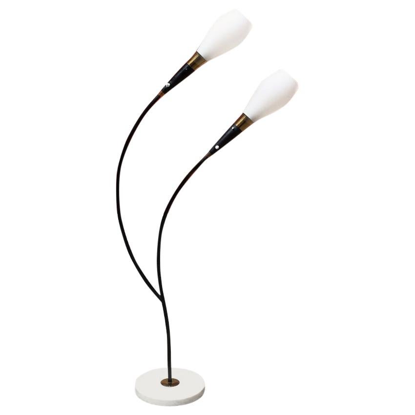 Italian Mid-Century Curved Floor Lamp with Two Lights and Marble Base, 1950s