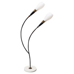 Italian Mid-Century Curved Floor Lamp with Two Lights and Marble Base, 1950s