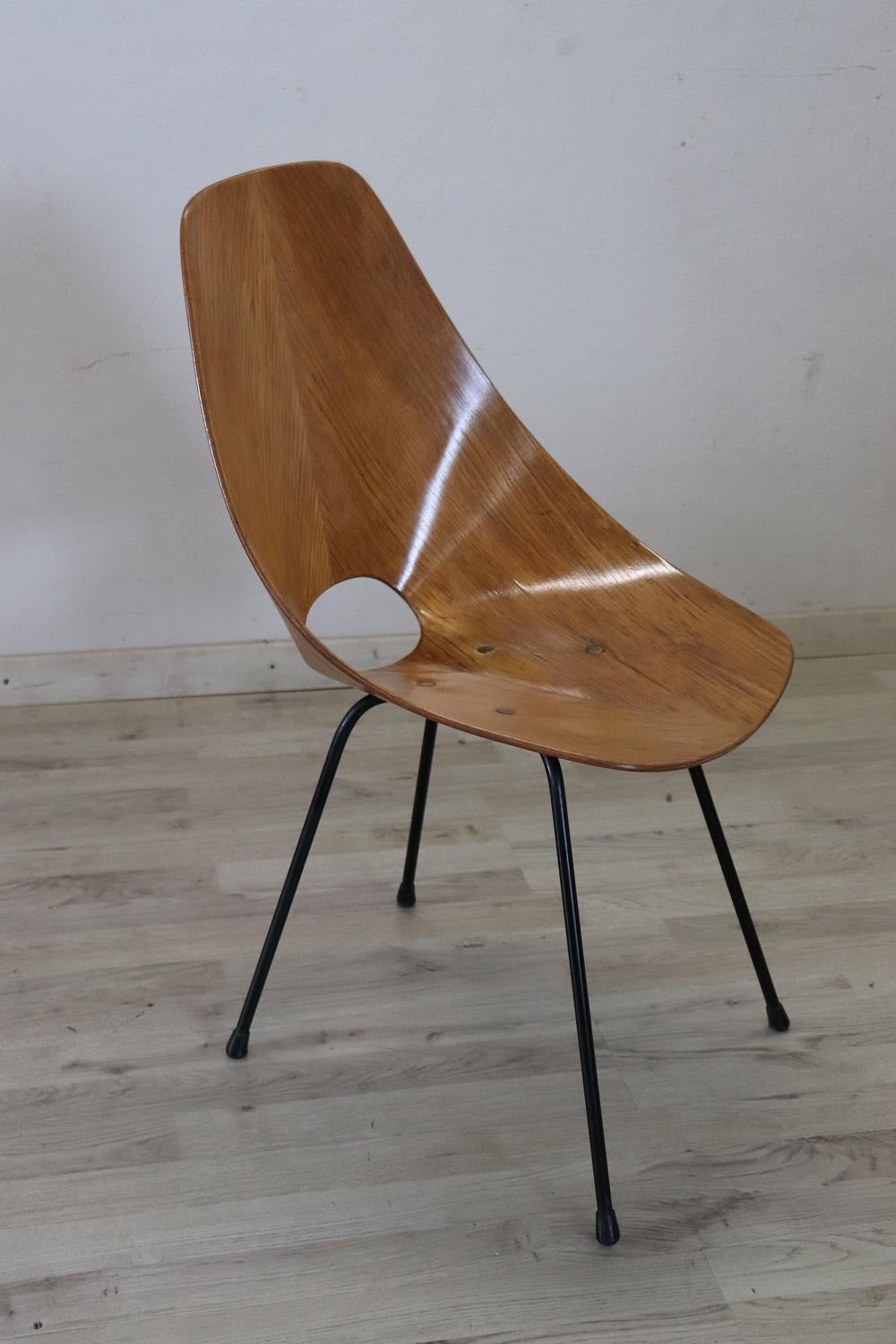 Italian Mid-Century Design Medea Chair by Vittorio Nobili for Tagliabue Brothers In Excellent Condition For Sale In Casale Monferrato, IT