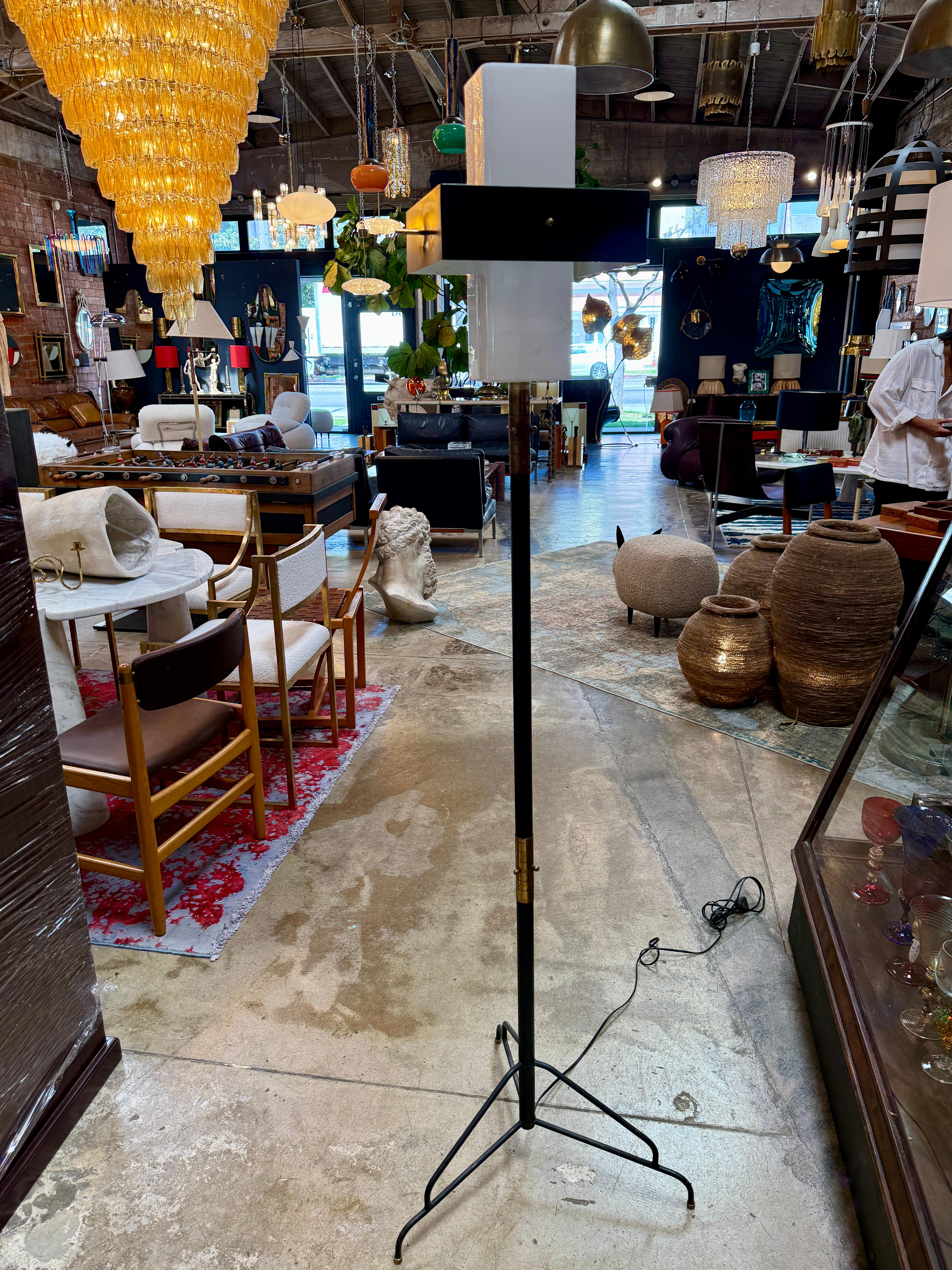 An exceptional Italian floor lamp attributed to Stilnovo, crafted during the 1960s. This rare piece features a black enameled stem set on a tripod base, its slender lines providing both stability and elegance. The lamp’s defining element is its