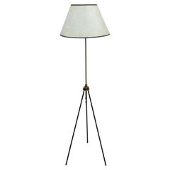 Italian Mid Century Floor Lamp attributed to Stilnovo