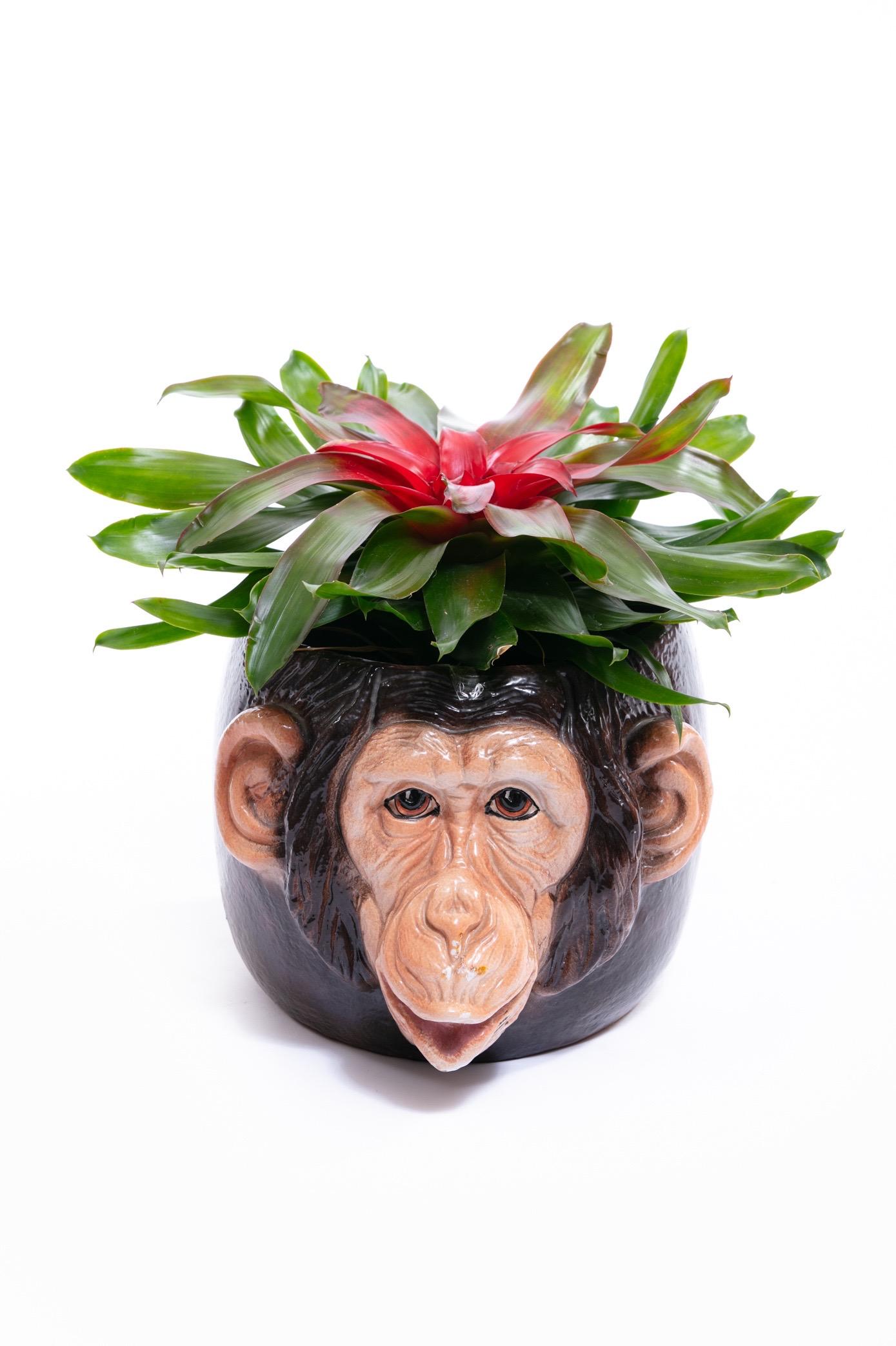 Who doesn't love a chimpanzee? Hand painted Italian Mid Century ceramic planter. Festive. Fun. Lots of hand painted detail - a work of ceramic art. Perfect accessory for adding a fun pop or vibe. Want to see more beautiful things? Scroll down below