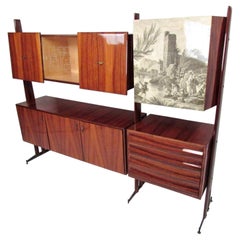 Mueble alto italiano de madera de macasar de mediados de siglo, de Vittorio Dassi