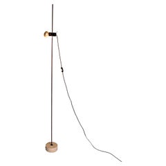 Italian Mid-Century Modern Agnoli 387 Floor Lamp by Tito Agnoli for Oluce, 1955