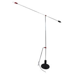 Floor Lamps