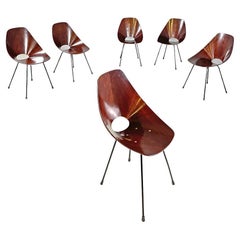Italian mid-century modern chairs Medea by Vittorio Nobili F.lli Tagliabue 1950s