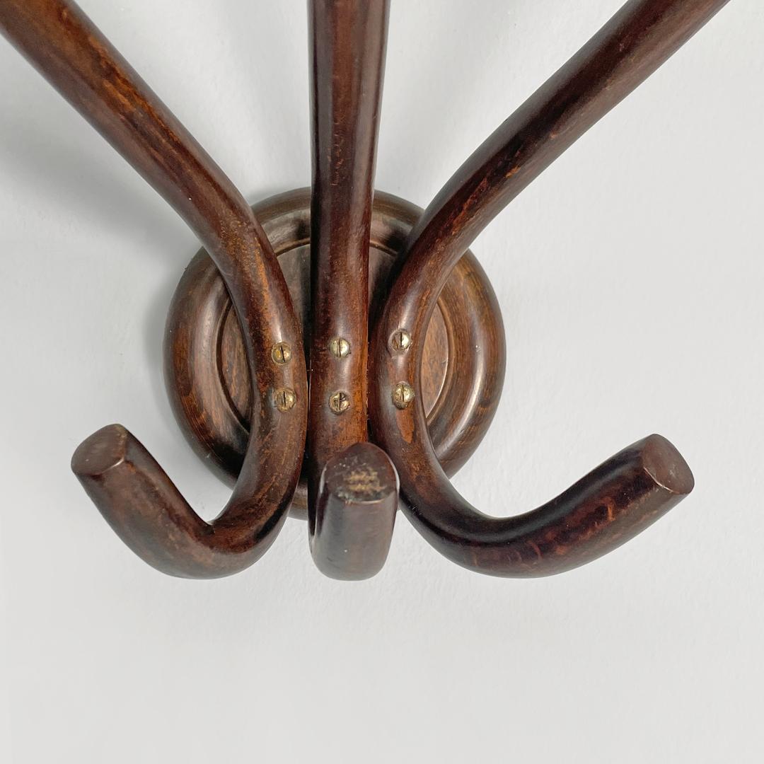 Appendiabiti da parete in legno arricciato di Italcomma, anni '60. in vendita 3