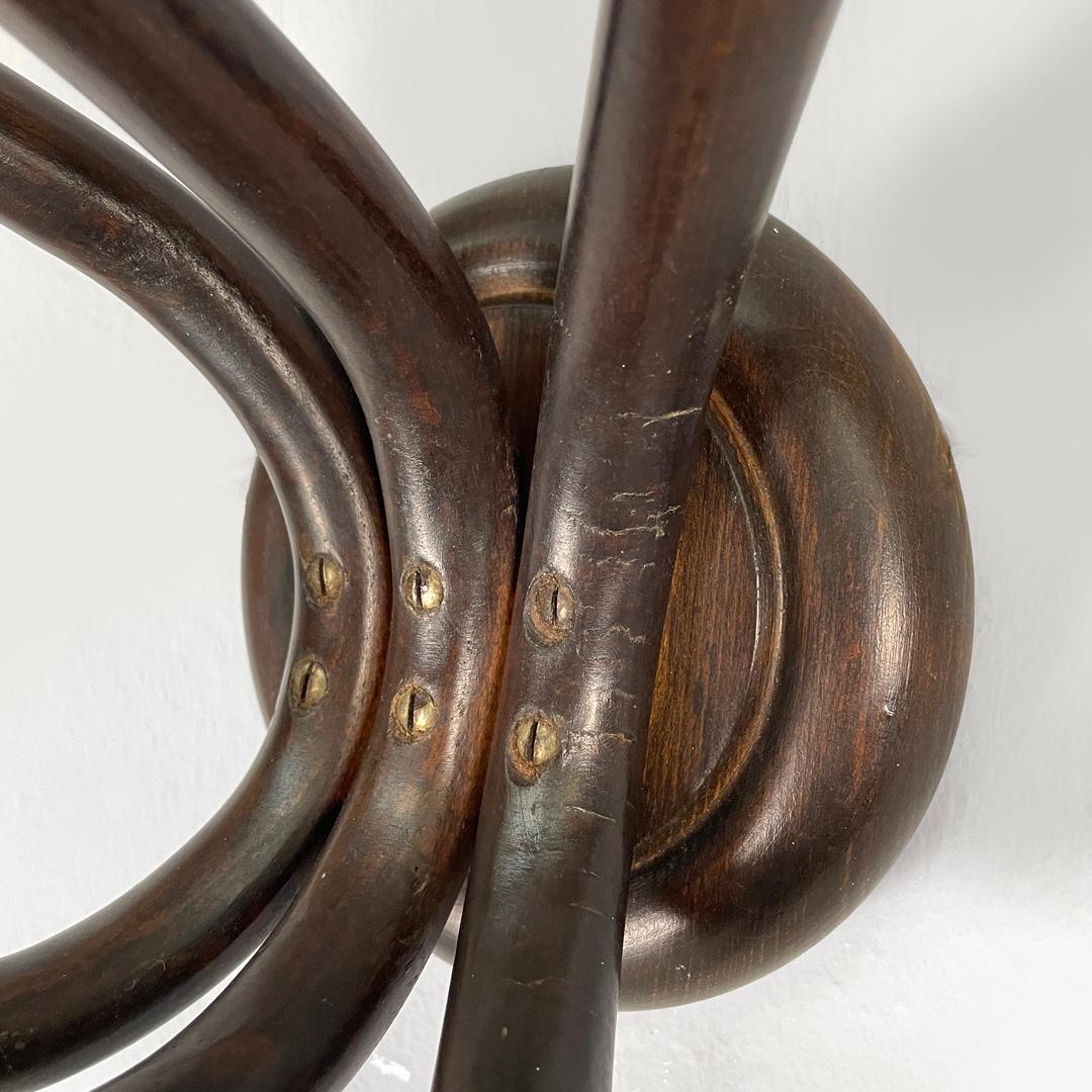Appendiabiti da parete in legno arricciato di Italcomma, anni '60. in vendita 4