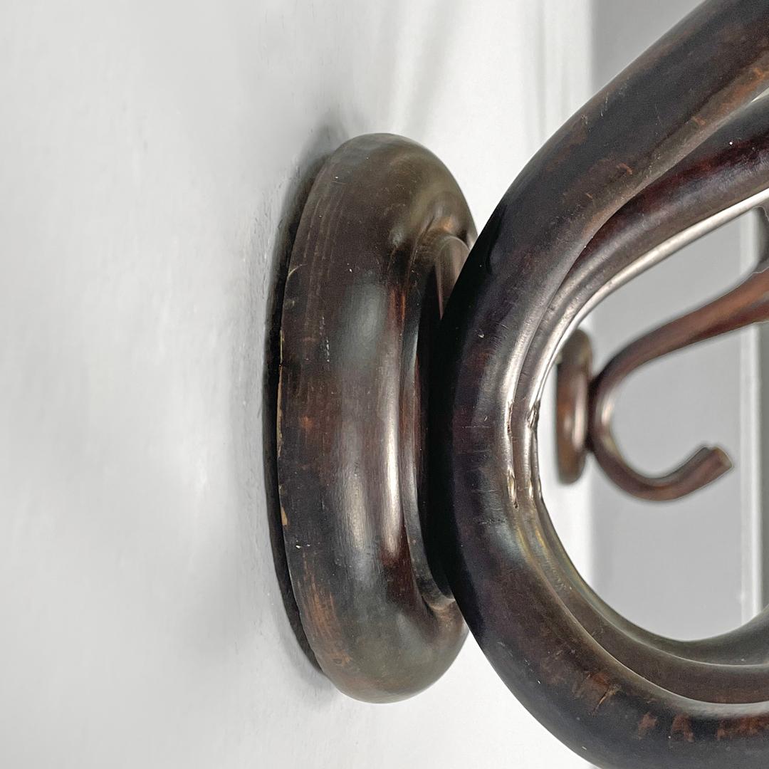 Appendiabiti da parete in legno arricciato di Italcomma, anni '60. in vendita 5
