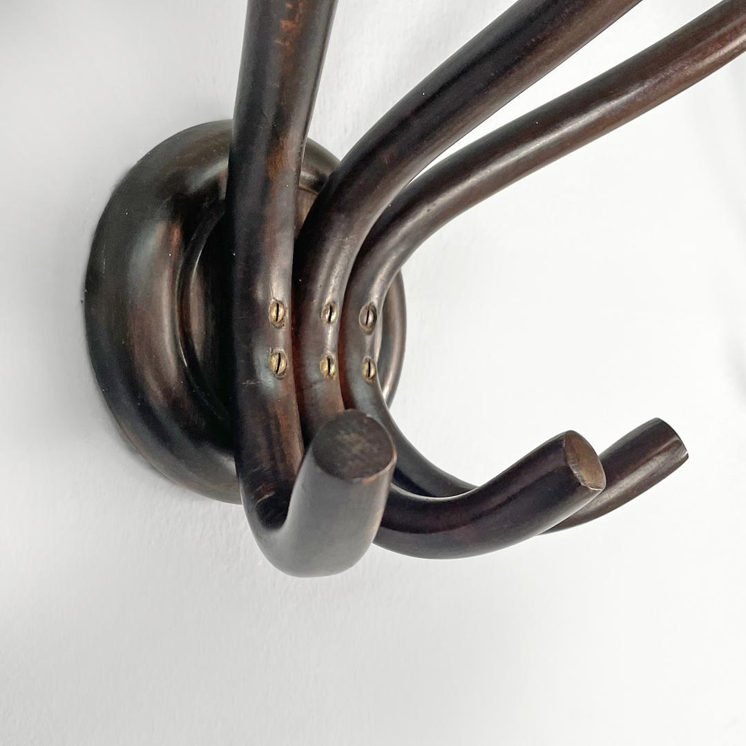 Appendiabiti da parete in legno arricciato di Italcomma, anni '60. in vendita 6