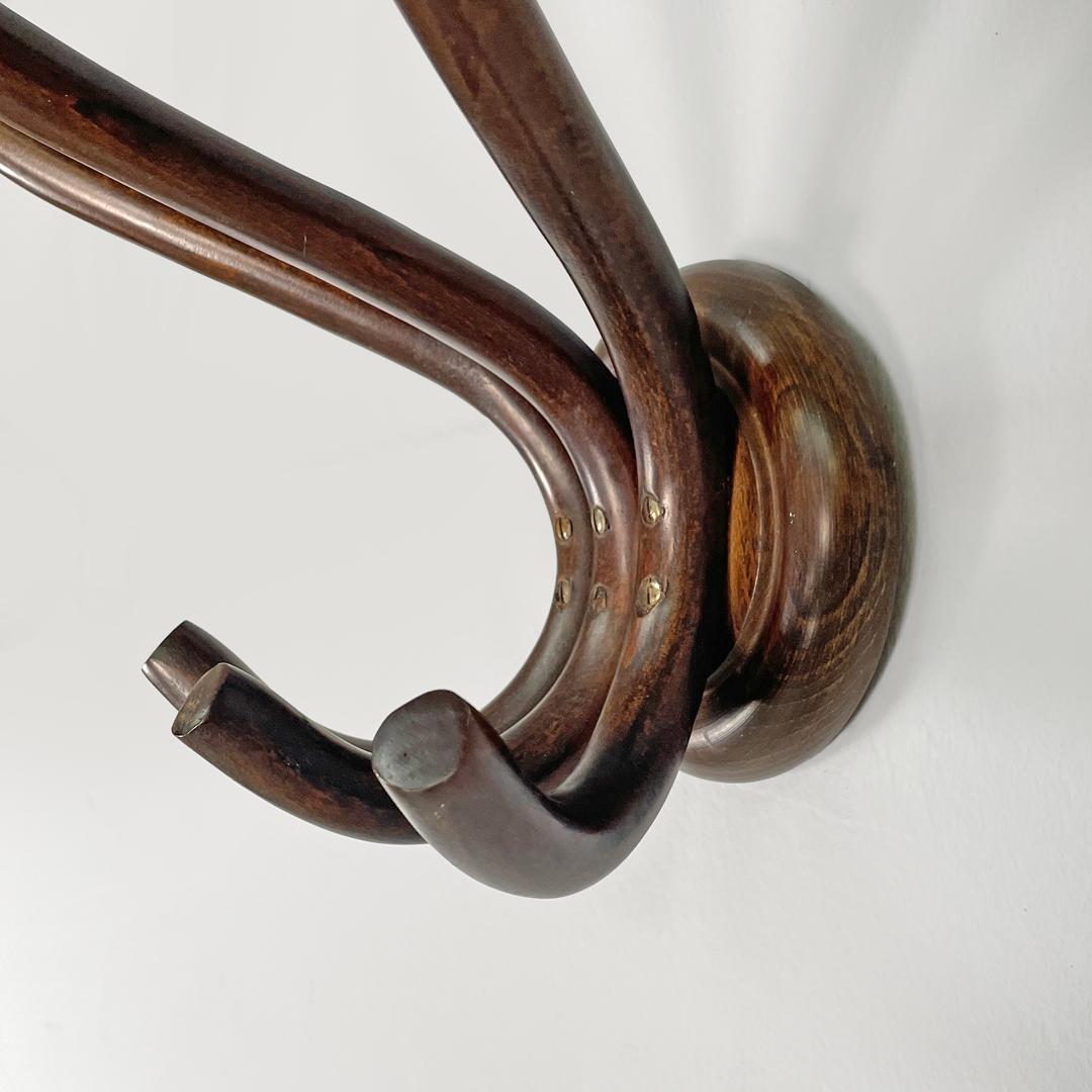 Appendiabiti da parete in legno arricciato di Italcomma, anni '60. in vendita 9