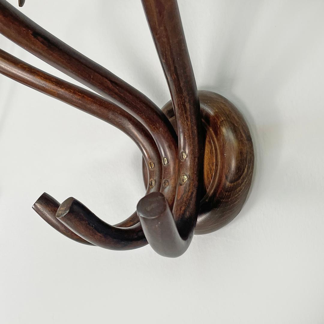 Appendiabiti da parete in legno arricciato di Italcomma, anni '60. in vendita 10