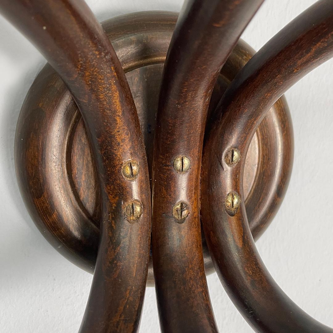 Appendiabiti da parete in legno arricciato di Italcomma, anni '60. in vendita 1
