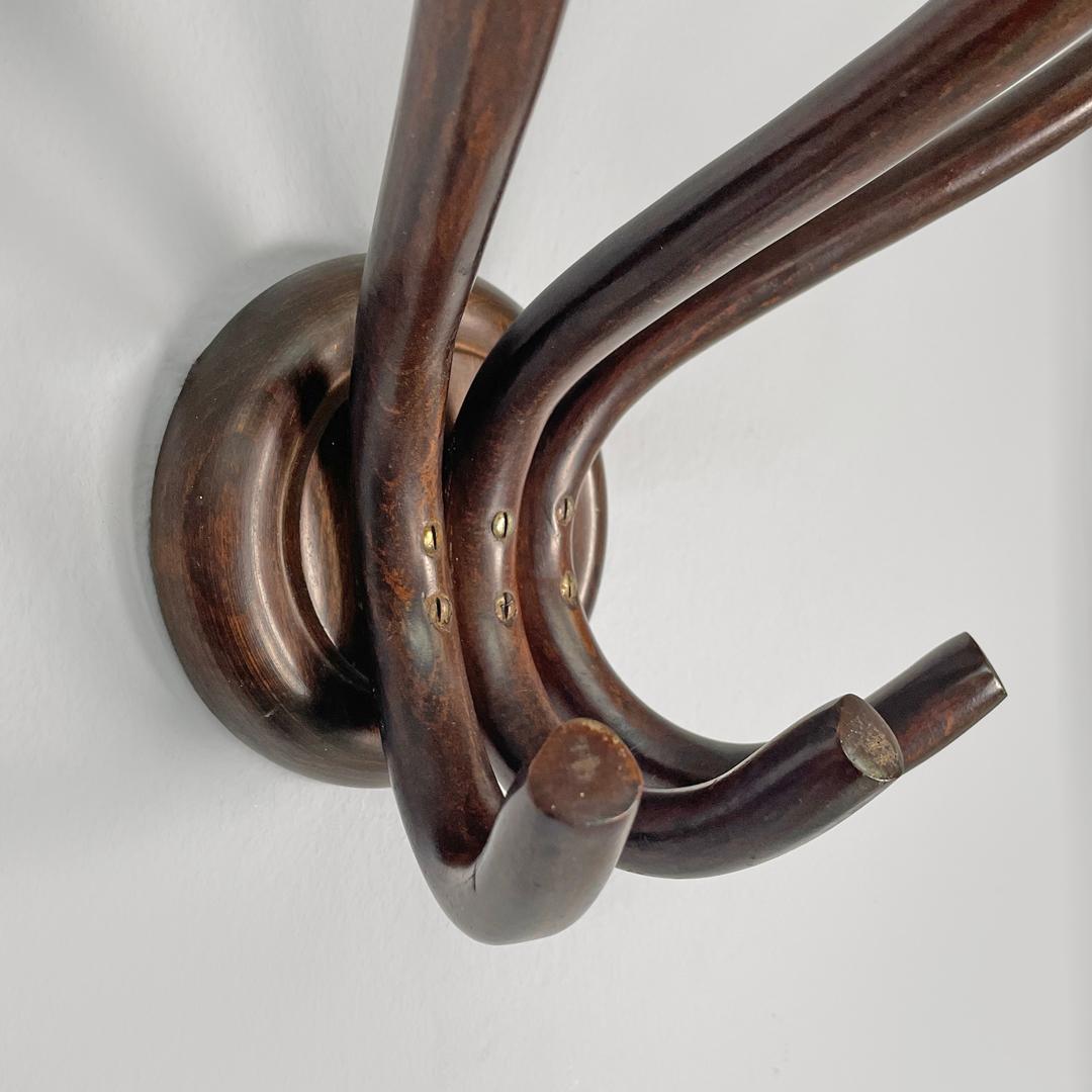 Appendiabiti da parete in legno arricciato di Italcomma, anni '60. in vendita 2