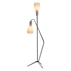 Italian Mid-Century Modern Floor Lamp in the Style of Stilnovo, Italy 1950s