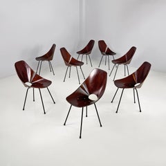 Italian mid-century modern Medea chairs by Vittorio Nobili for Tagliabue, 1955