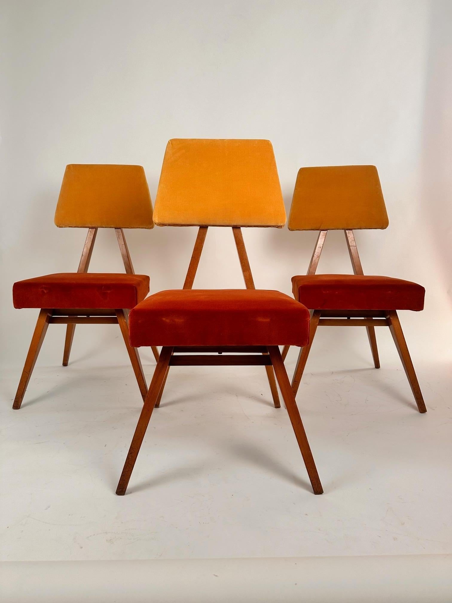 Italian Mid-Century Modern  Set  of  Torino School Set  Six  Dining Chairs .1960 In Good Condition For Sale In Madrid, ES
