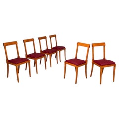 Italian mid-century modern wooden chairs with burgundy sky, 1940s