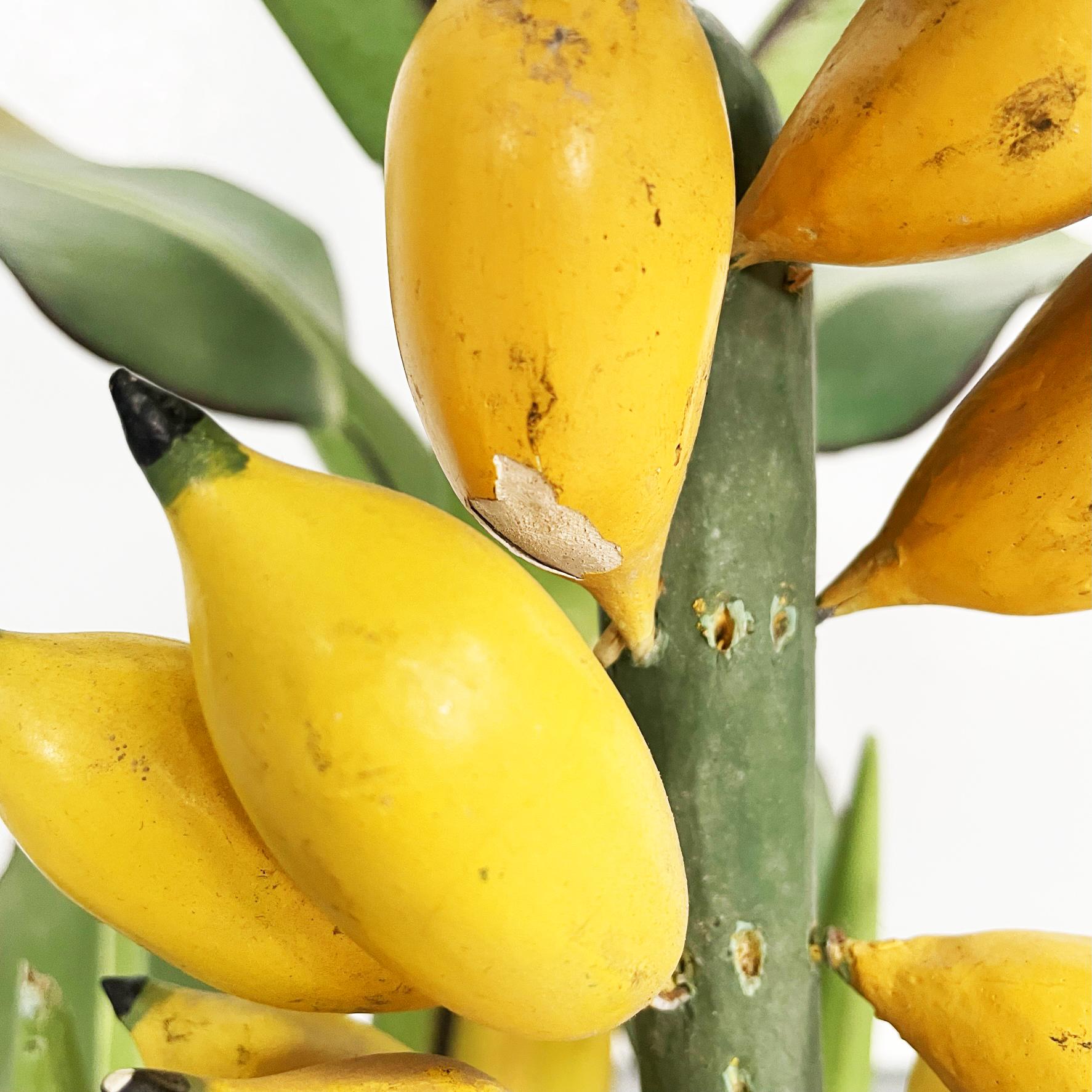 Italian Mid-Century Modern Wooden Sculpture of a Banana Plant, 1950s In Good Condition For Sale In MIlano, IT