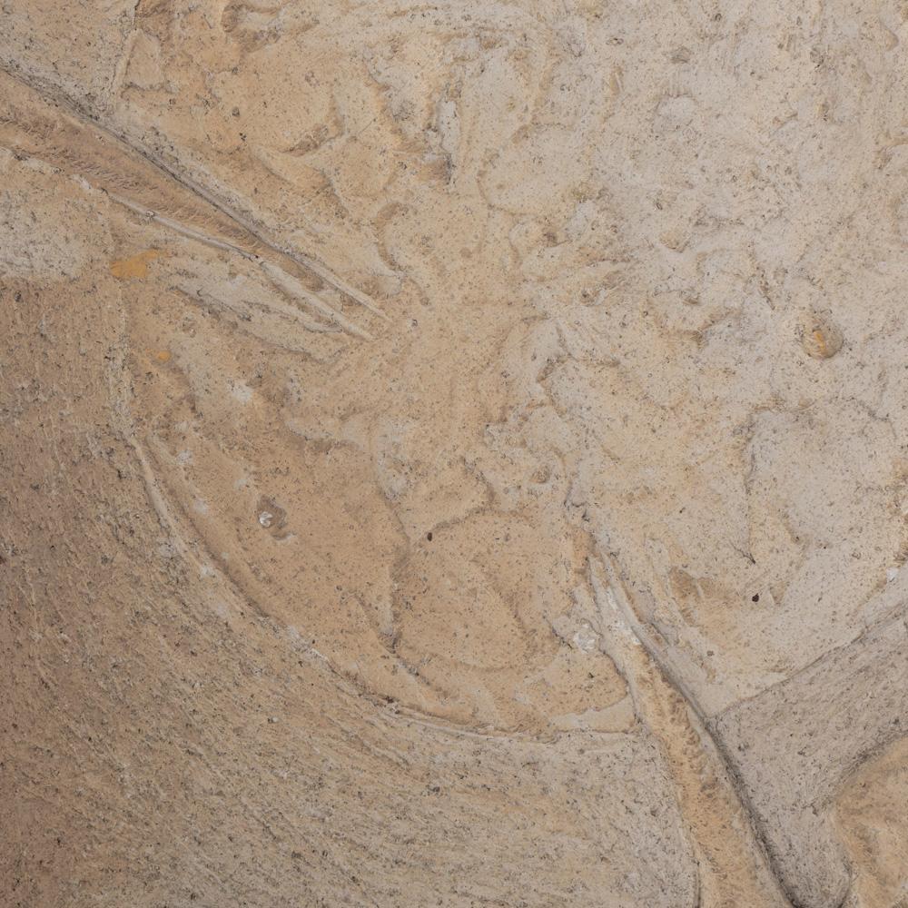 Pannello da parete in pietra arenaria scultoreo-figurativo della metà del secolo firmato 1950 in vendita 4