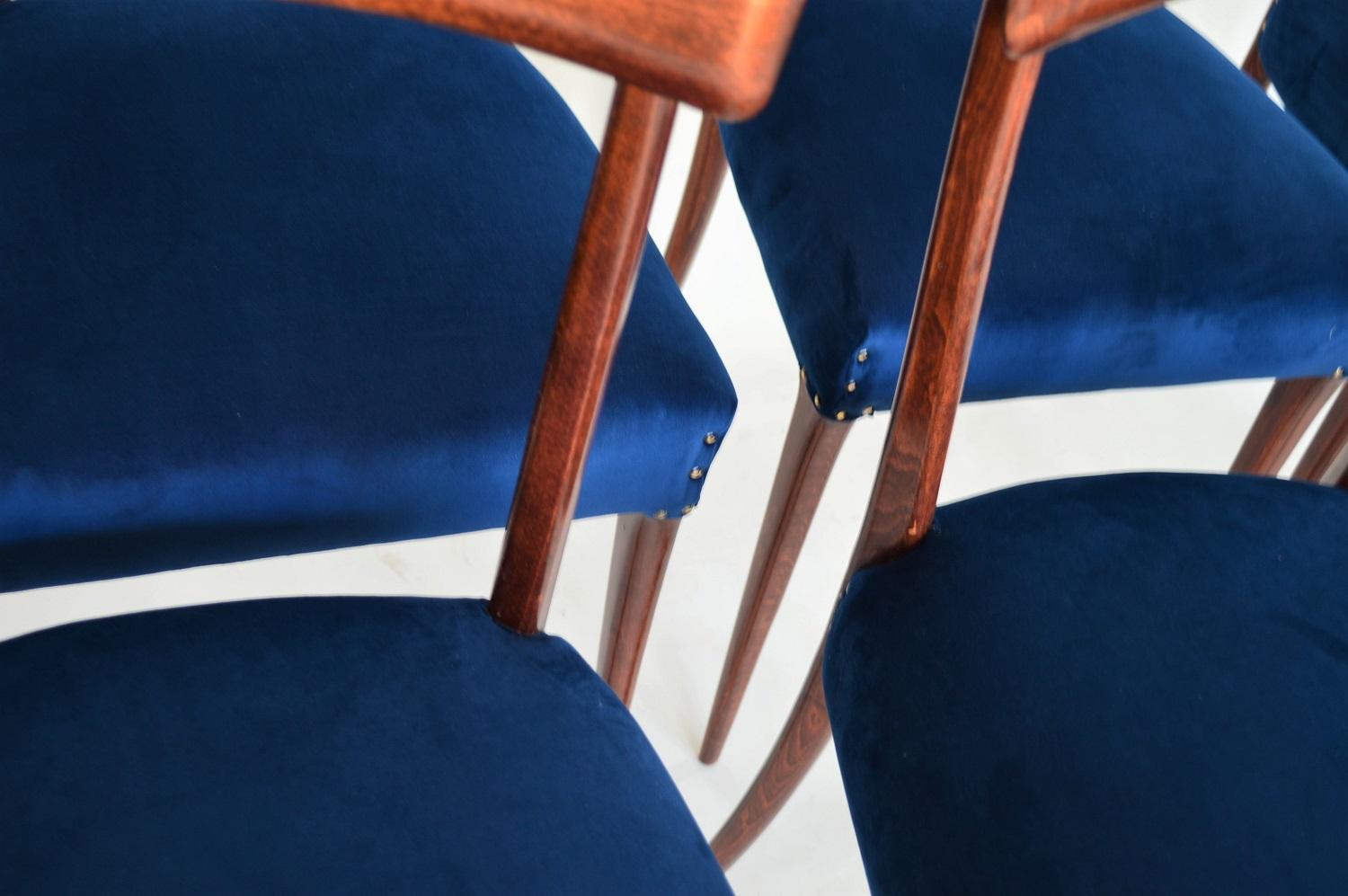 Italian Midcentury Beechwood Dining Chairs Restored in Blue Velvet, 1950s 8