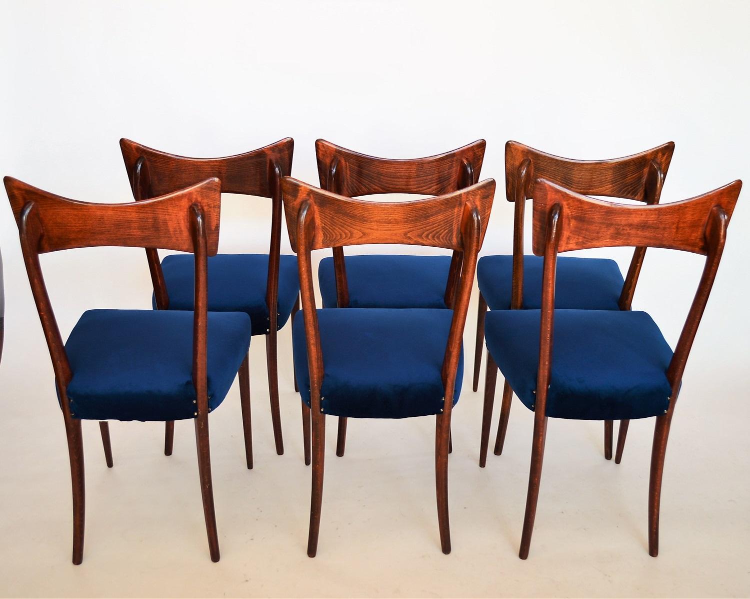 Italian Midcentury Beechwood Dining Chairs Restored in Blue Velvet, 1950s 10