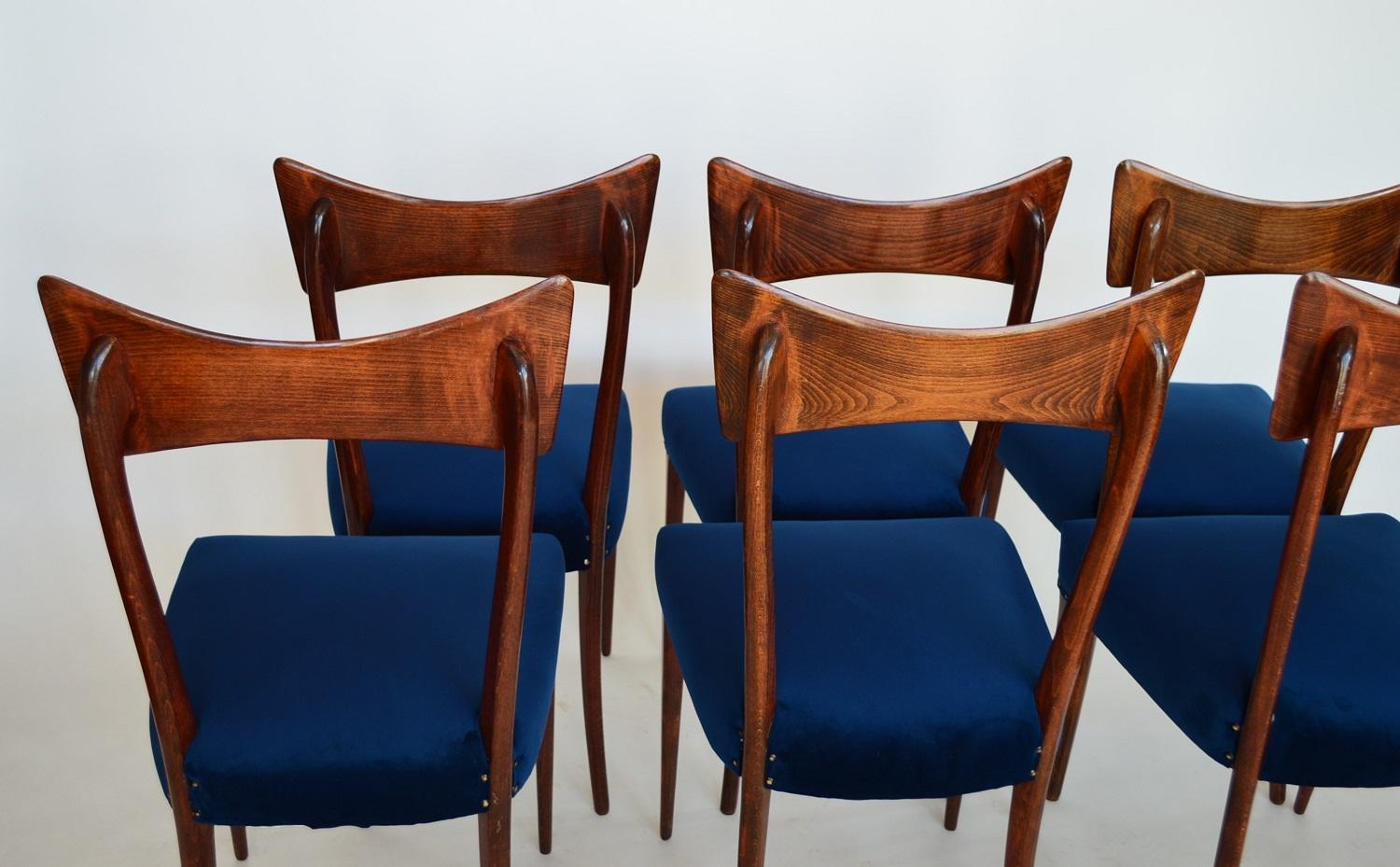 Italian Midcentury Beechwood Dining Chairs Restored in Blue Velvet, 1950s 11