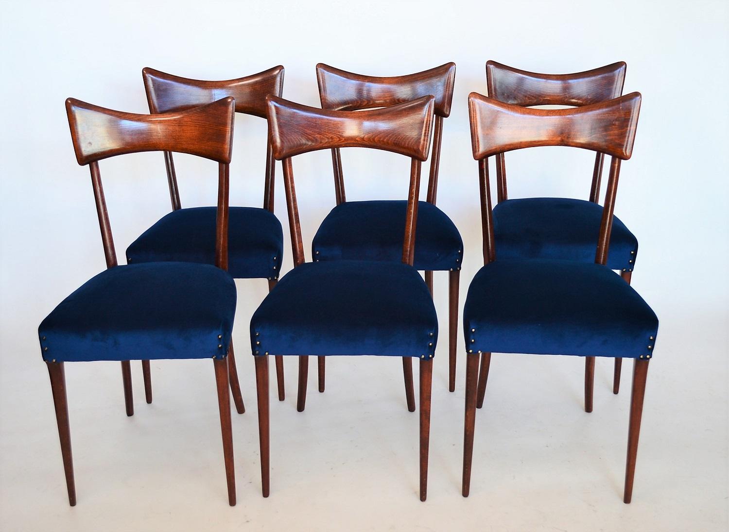 Stained Italian Midcentury Beechwood Dining Chairs Restored in Blue Velvet, 1950s