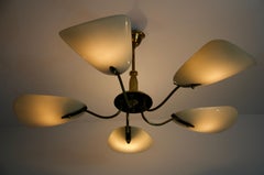 Italian Midcentury Brass 5-Arm Sputnik Chandelier, 1950s, Germany