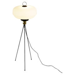 Floor Lamps